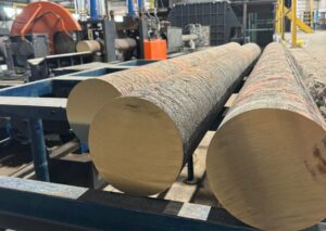 WhatsApp Image 2024-08-02 at 11.33.50